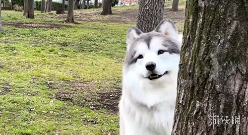 那不勒斯连,续四轮颗粒,无收丢掉,半岛体育平台,半岛体育官方网站,半岛体育登录入口,半岛体育app下载