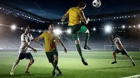 半岛体育 资讯 102501 msv