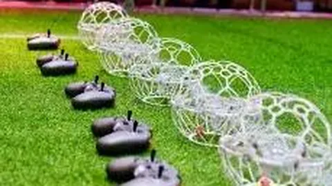 半岛体育 资讯 102846 lqp