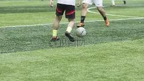 半岛体育 资讯 103059 q34