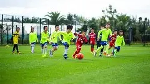 半岛体育 资讯 102459 chu