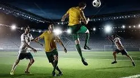 半岛体育 产品 102531 ur0