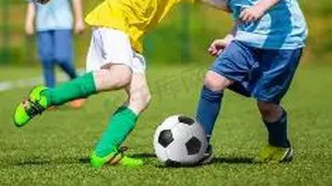 半岛体育 资讯 102720 zlj