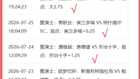 2026前瞻：金海战队生死存亡，把握胜机攻略